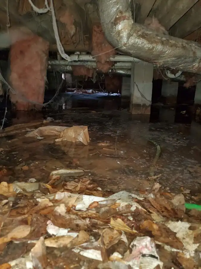 Crawl space flood assessment for Leak Detection & Repair in Marbletown